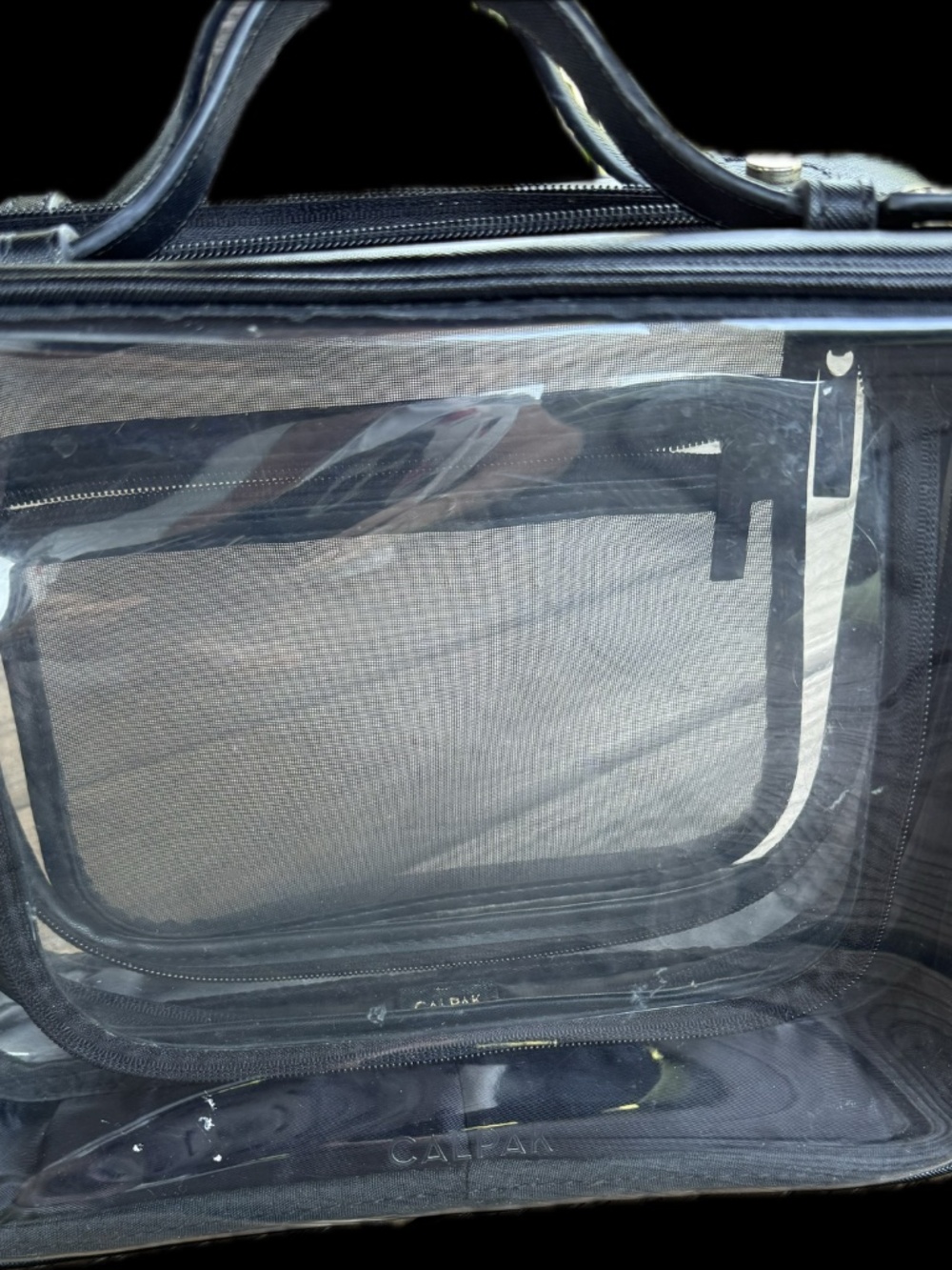 CALPAK Large Clear Cosmetics Case in Black - Picture 3 of 9